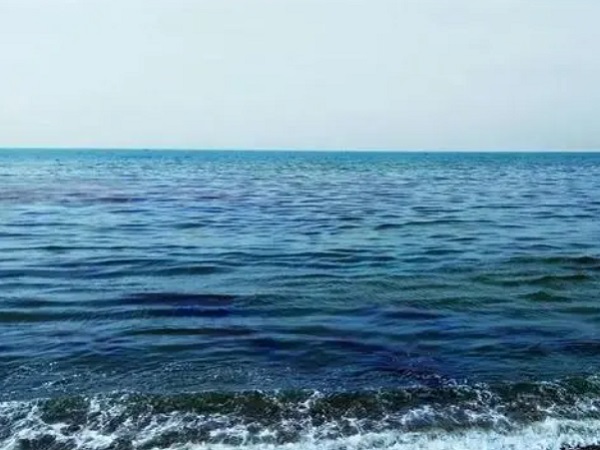 日本核廢水將排海-影響何以估量？